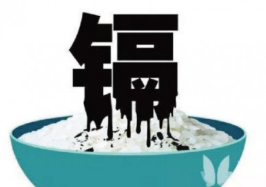 氟化氢铵检测